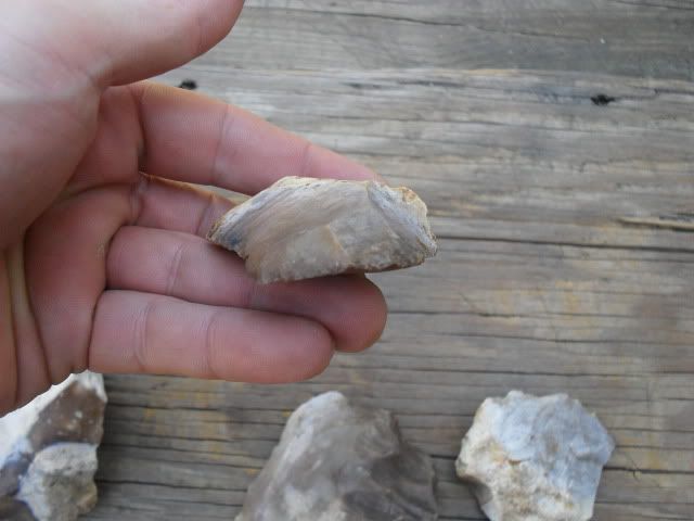 SDC10079.jpg
