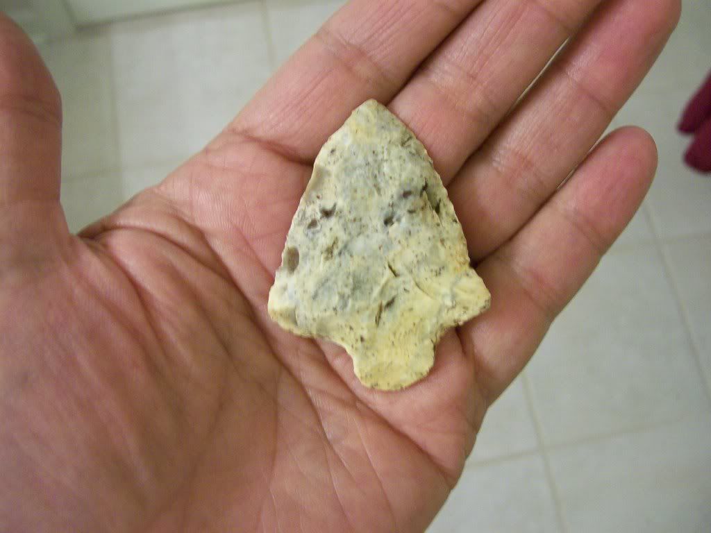 100_3019.jpg