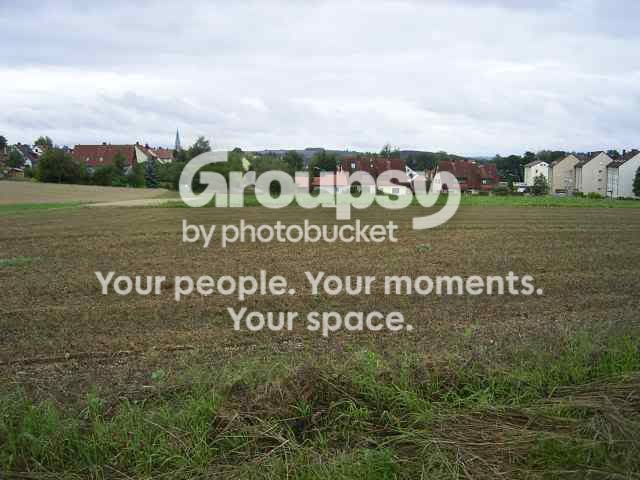 14Aug11Soybeanfield.jpg