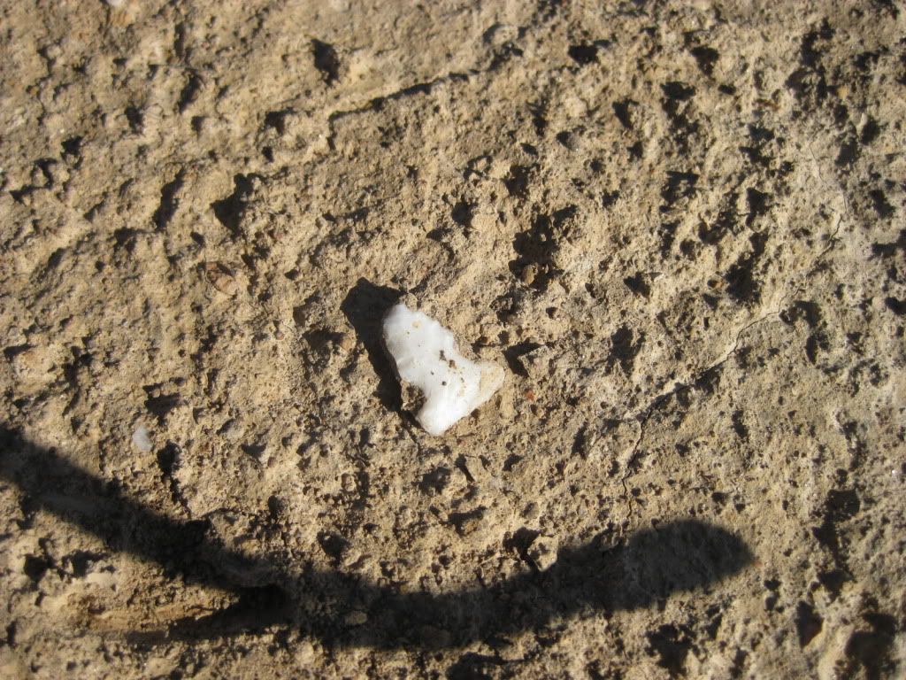 IMG_2778.jpg
