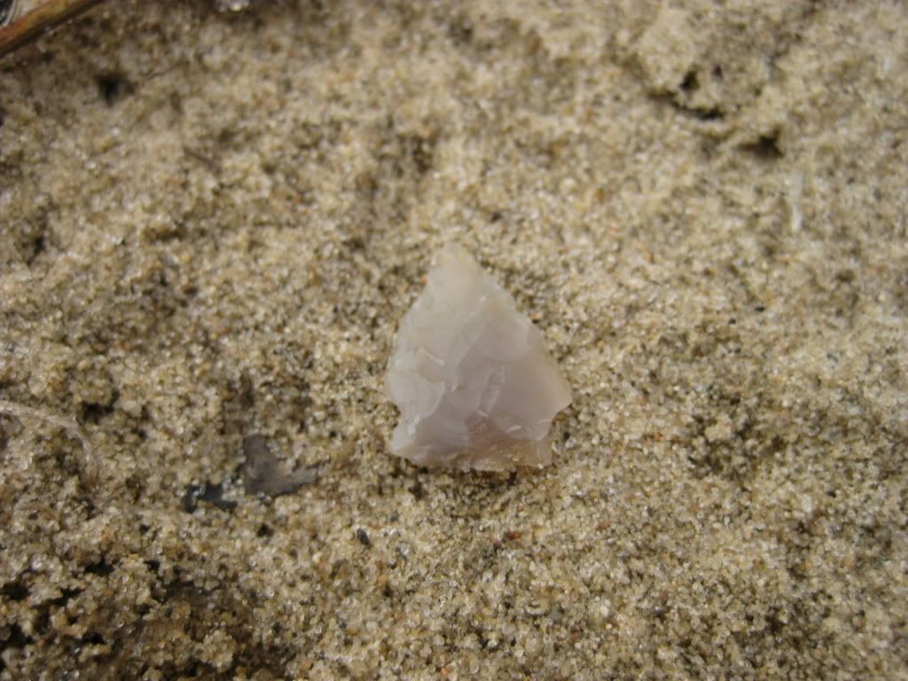 IMG_2123.jpg