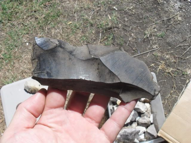 SDC10984.jpg