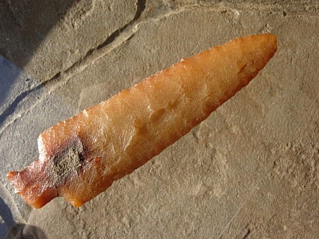 DSCN3123.jpg