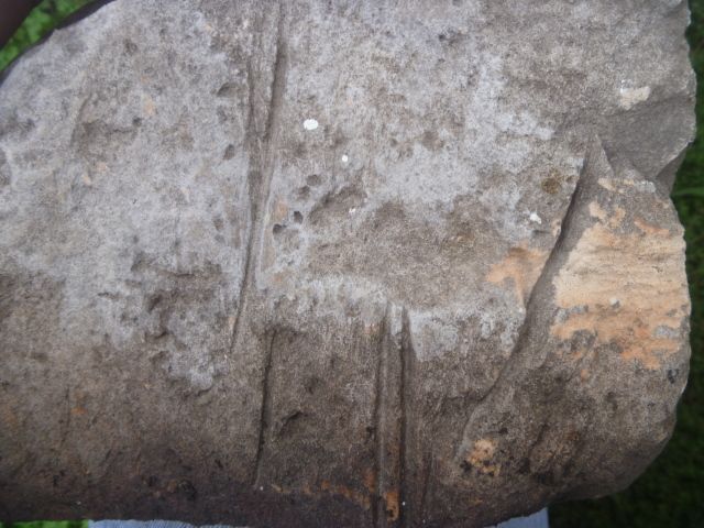 P1060886.jpg