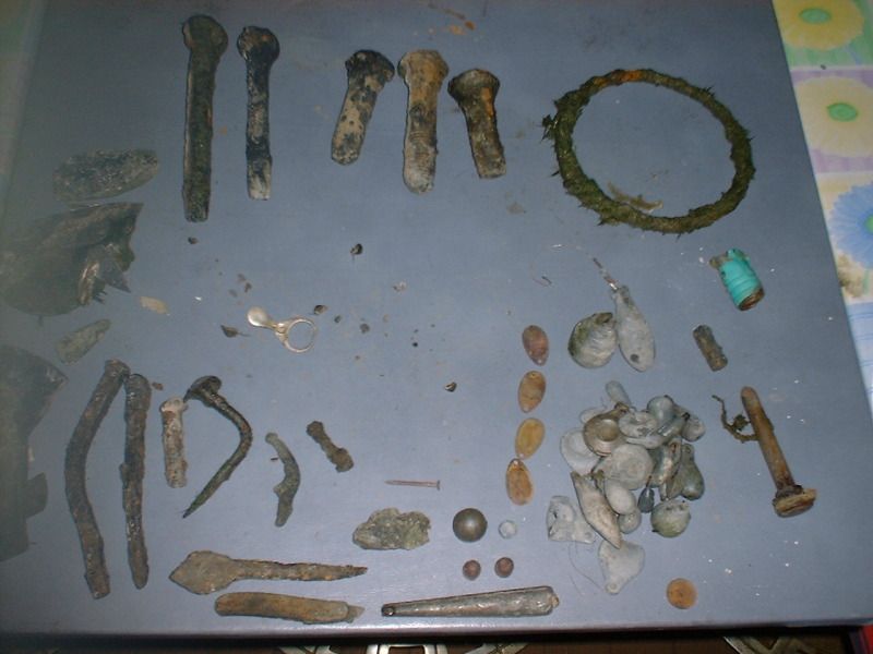 81412beachfinds.jpg