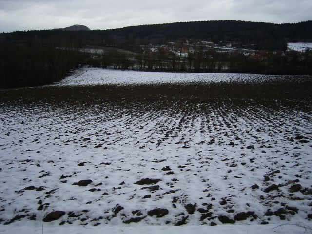 21Jan12Field.jpg