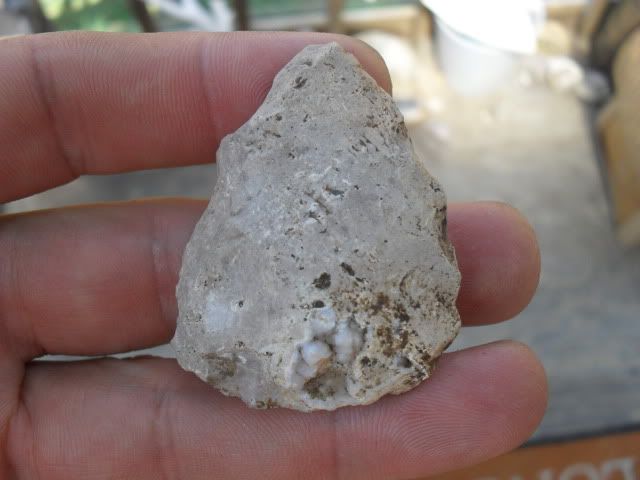 SDC10546.jpg