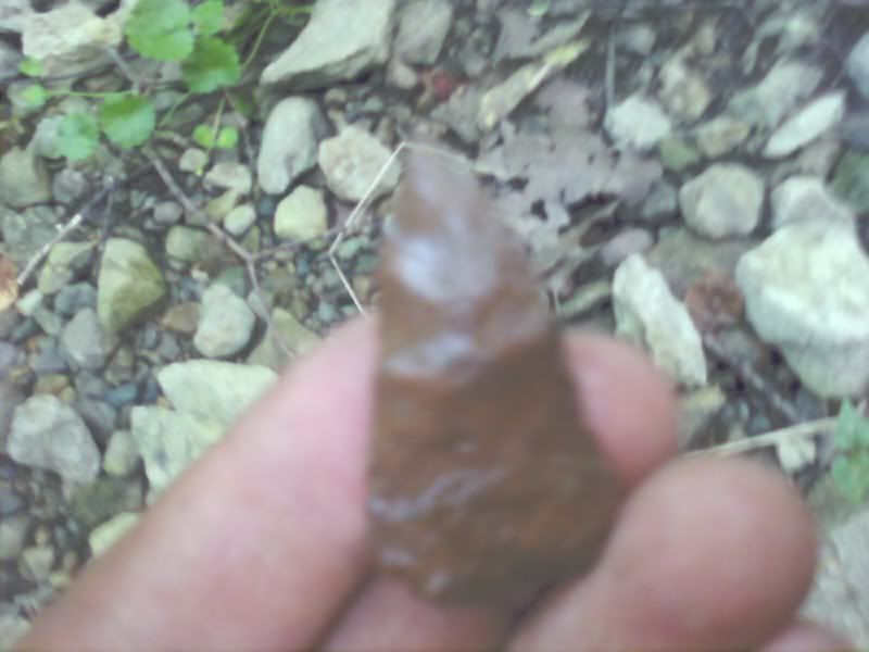 img1250432648595.jpg