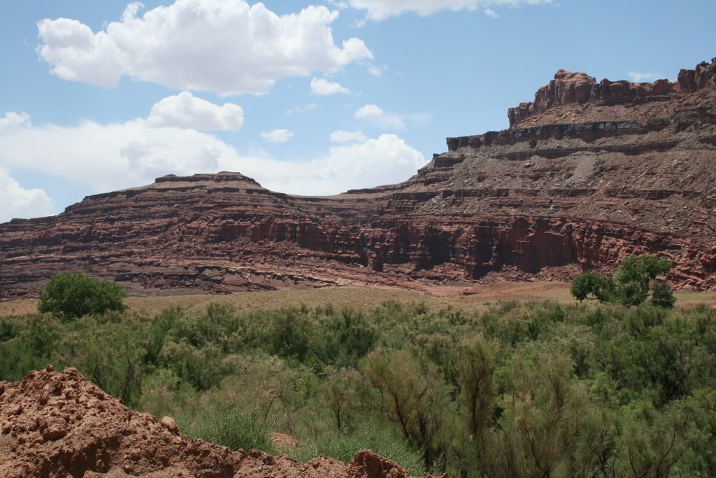 IMG_2714.jpg