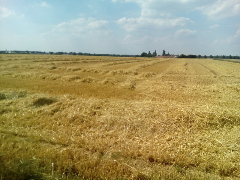 29697201pi.jpg