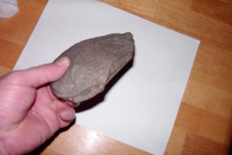 PDR_1281.jpg