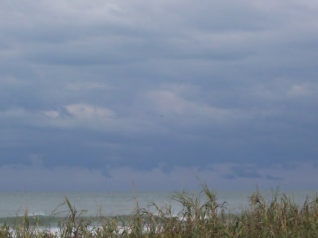 100_1202.jpg