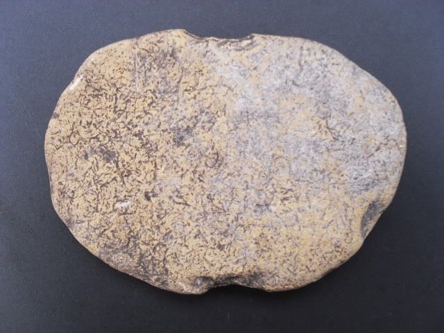 SDC11537.jpg