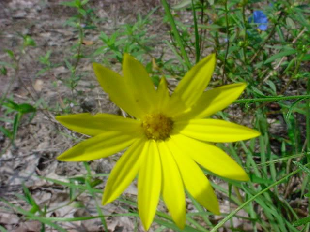 DSC00790.jpg