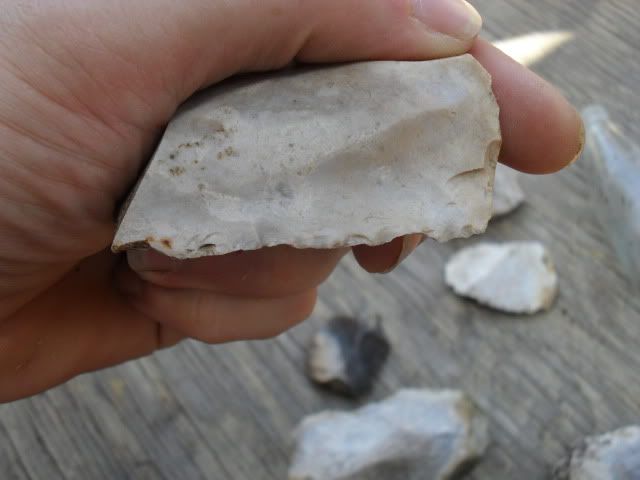 SDC10134.jpg