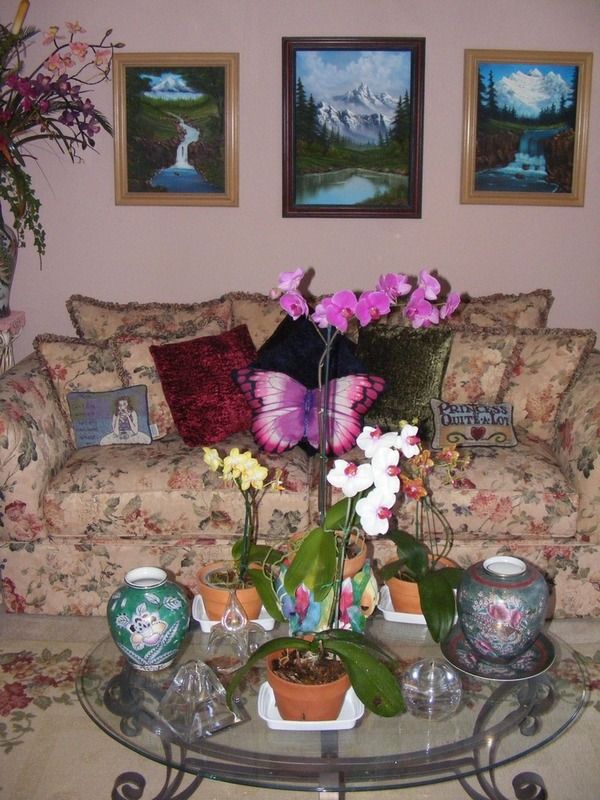 DSCF2462.jpg