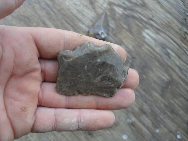 SDC10515.jpg