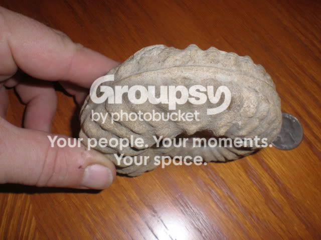 P6060100.jpg
