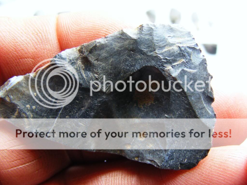 2009_0903box30010.jpg