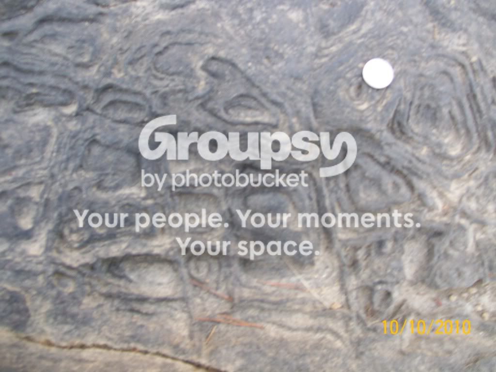 CabinOct08048.jpg