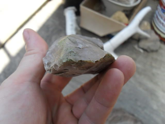 SDC10160.jpg