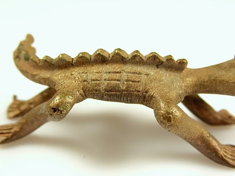 croc006.jpg