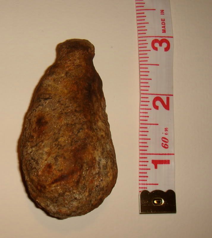 DSC02244.jpg