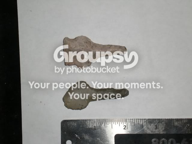 CIMG5097.jpg