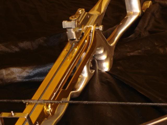 DSC03638.jpg