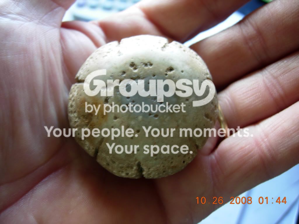 DSCN1275.jpg