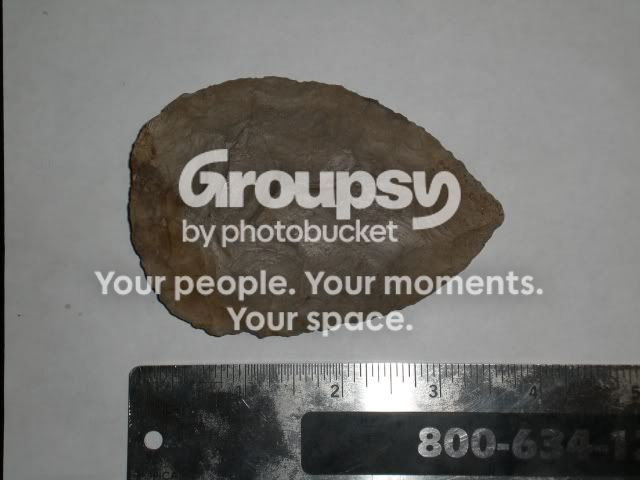 CIMG5093.jpg