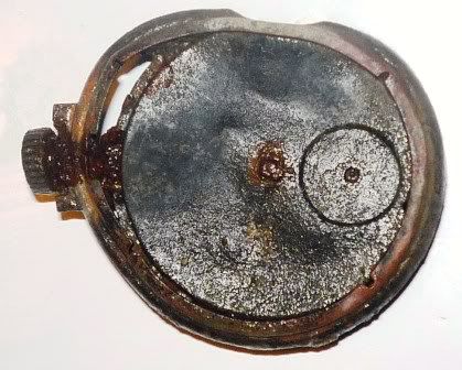 P1030453rs.jpg