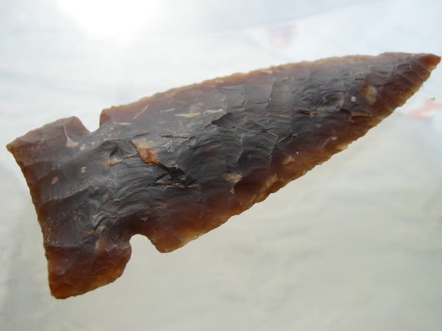 DSCN2743.jpg