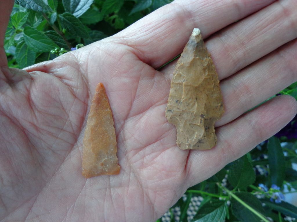 DSC00156.jpg