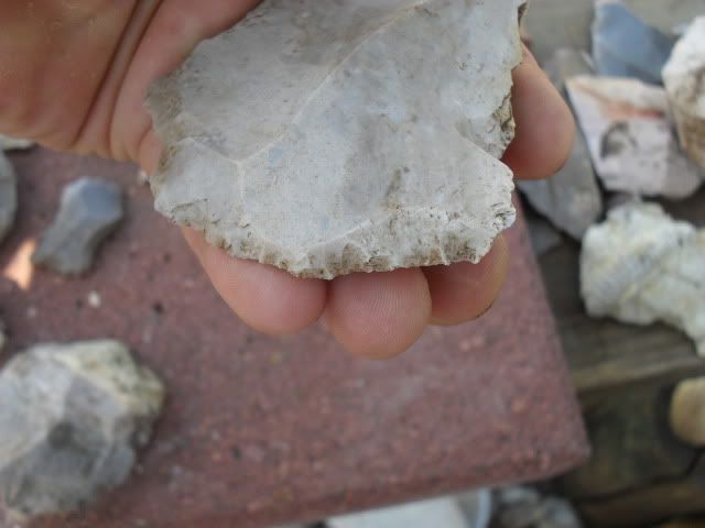SDC10515.jpg