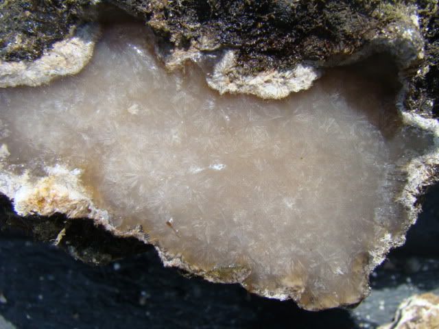 DSC01136.jpg