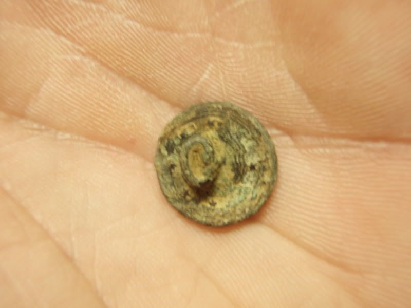 P1010425.jpg