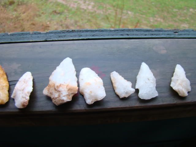 DSC00773-1.jpg