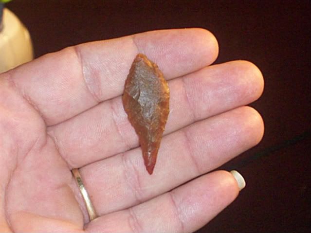 100_3268-1.jpg