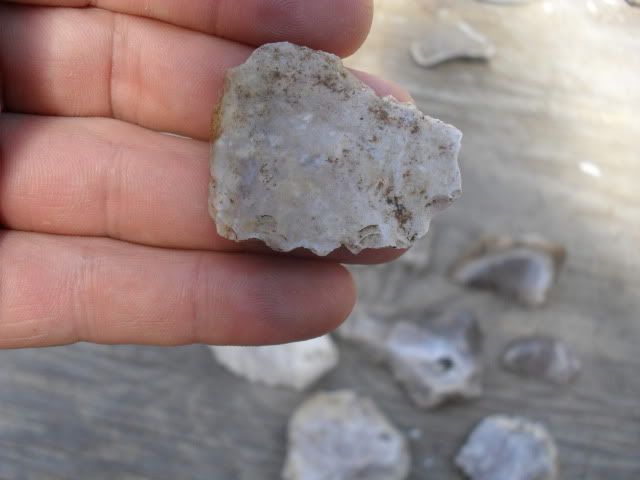 SDC10475.jpg