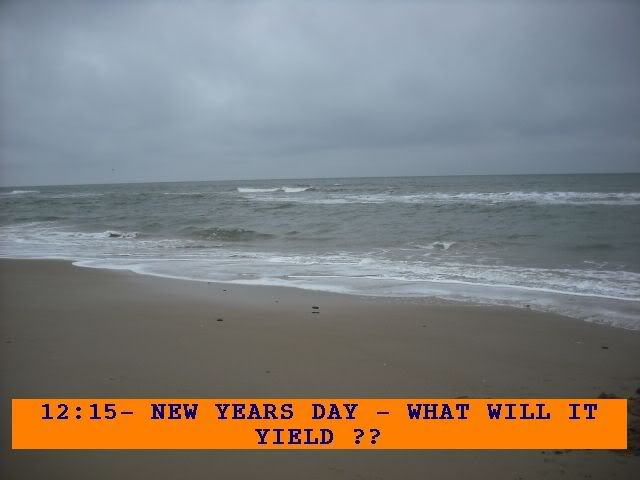 11101.jpg