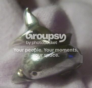 RingDolphin0529091.jpg