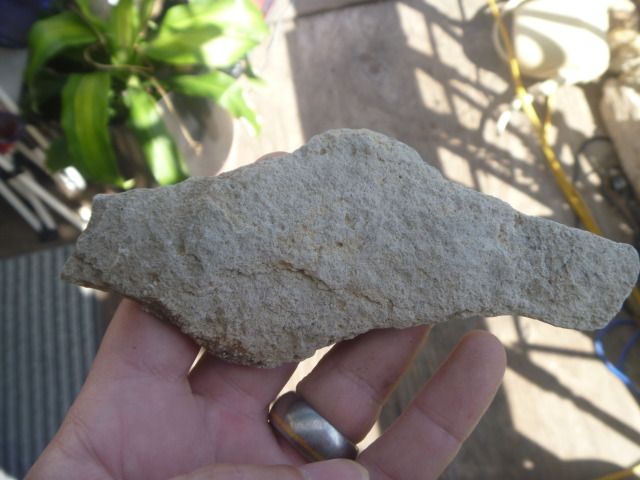 P1050690.jpg