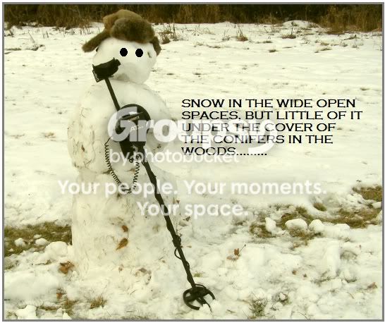 SNOWMAN.jpg