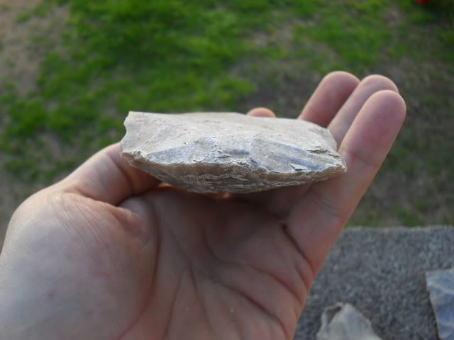 SDC10029.jpg