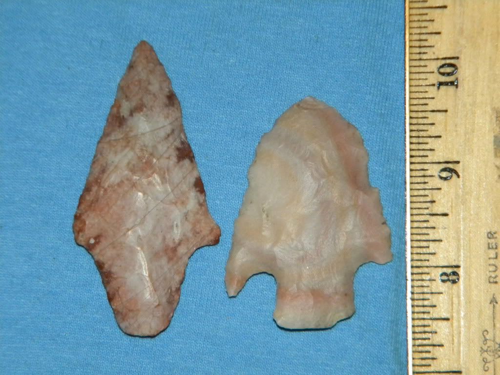 DSCN1222.jpg