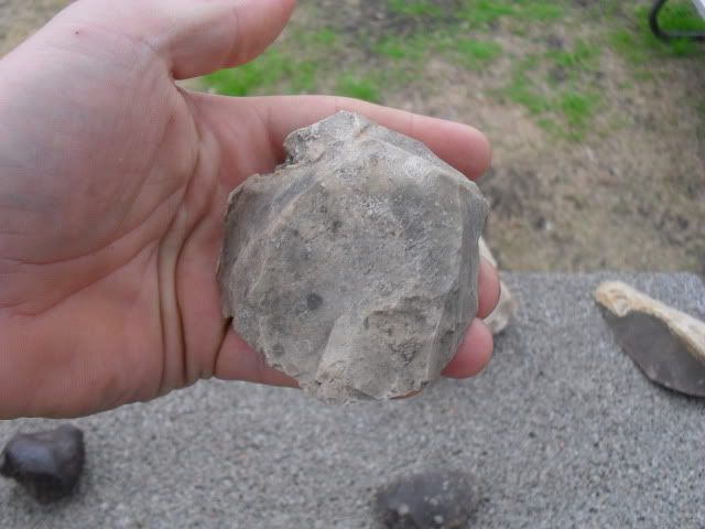SDC10392.jpg