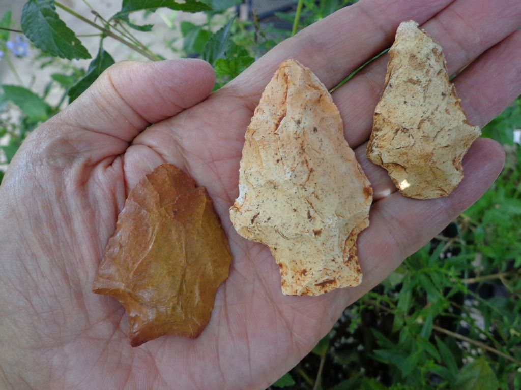 DSC00214.jpg