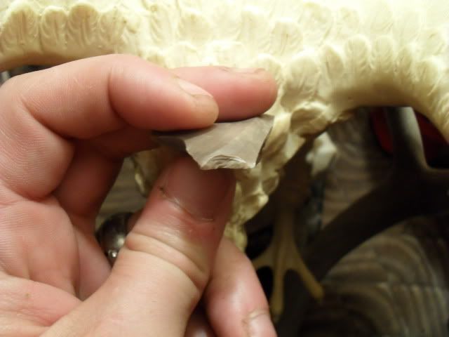 SDC17387.jpg
