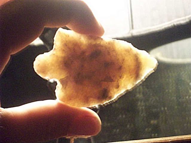 100_3255-1.jpg